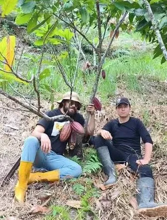 En la finca, junto a un árbol de cacao, sosteniendo una mazorca recién cortada.